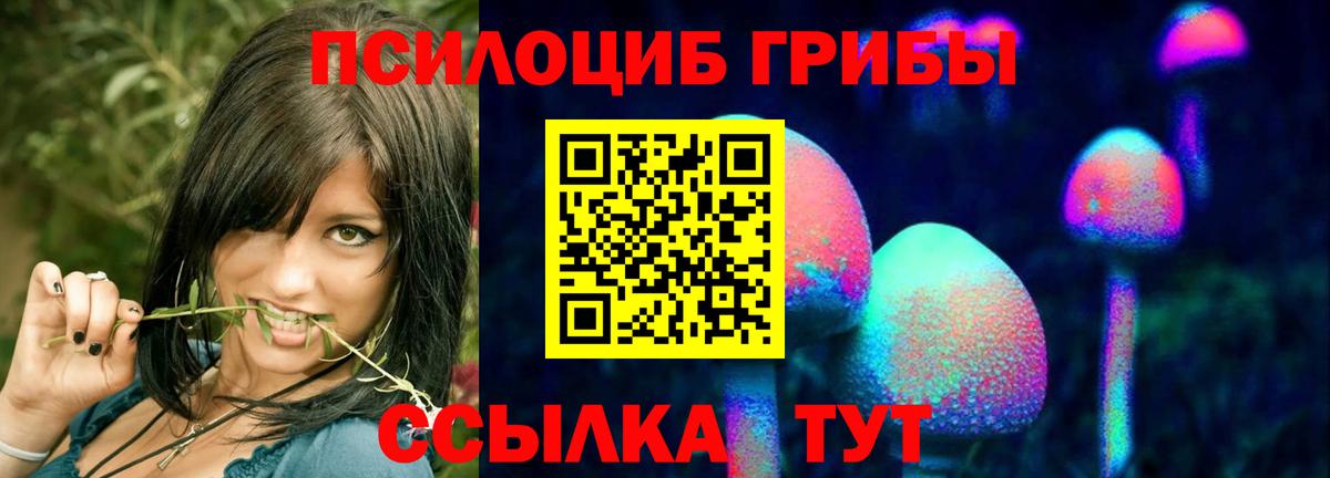 Галлюциногенные грибы MAGIC MUSHROOMS  Вход с VPN  Отрадное 